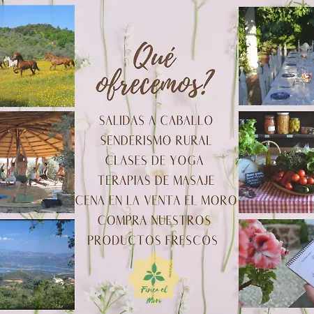 Country house Finca El Moro - Casita Del Cerro