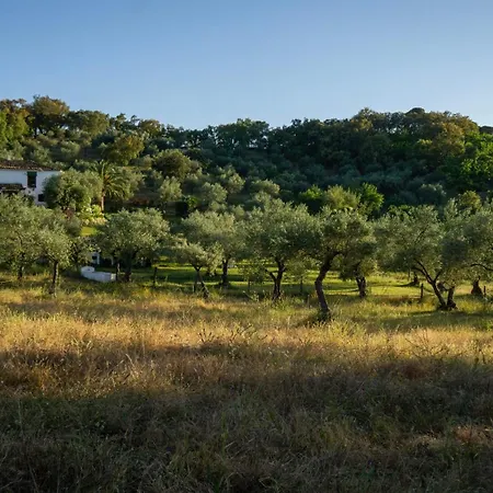 Country house Finca El Moro - Casita Del Cerro